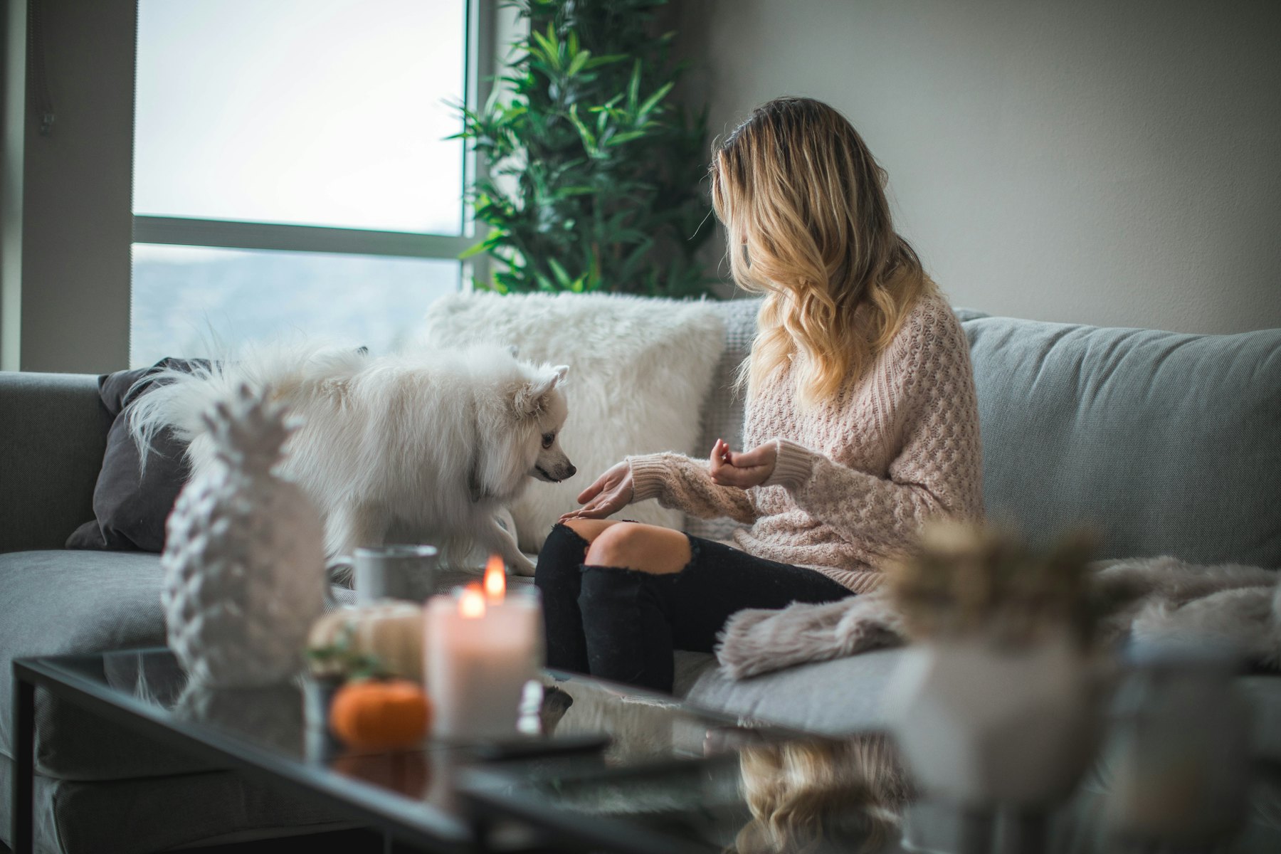 A woman on a sofa holding out a treat to a small white dog