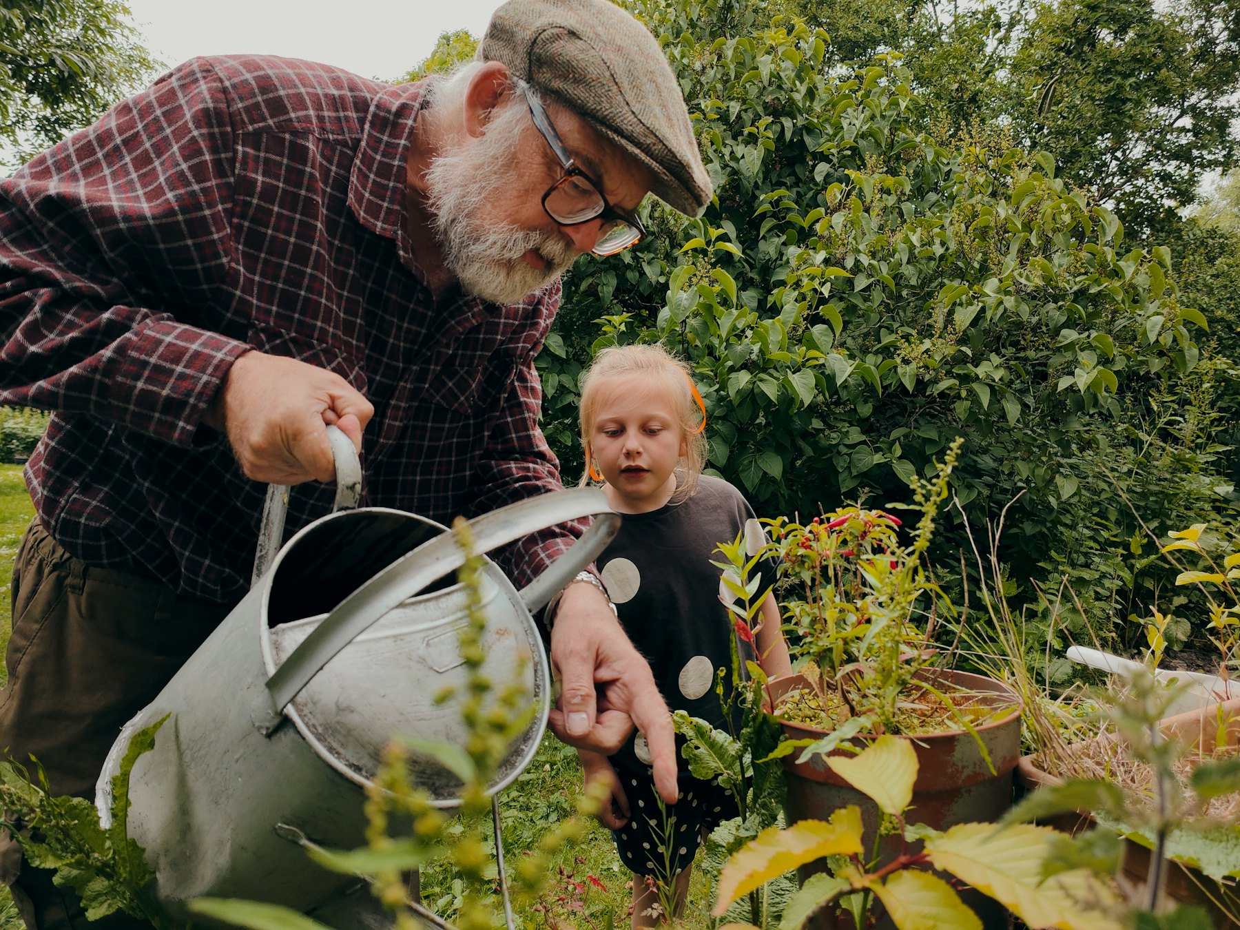 A grandfather in a flat cap watering plants while his granddaughter watches